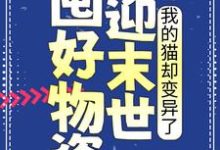 囤好物资迎末世，我的猫却变异了江芷小说在线章节目录阅读最新章节-书格格