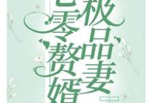 完结版《七零赘婿极品妻》章节阅读-书格格