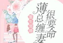 曲瓷薄时延曲洛依为主角的小说重生宠婚：薄总缠妻很要命在线阅读-书格格