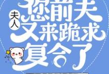 完结版《夫人，您前夫又来跪求复合了》在线免费阅读-书格格