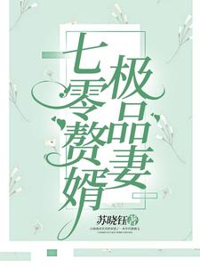 完结版《七零赘婿极品妻》章节目录在线阅读