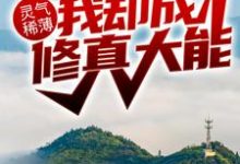 小说《灵气稀薄，我却成修真大能？》章节免费阅读-书格格