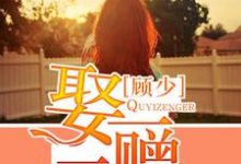 完结版《顾少，娶一赠二》章节阅读-书格格