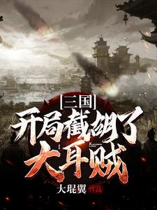 三国：开局截胡了大耳贼 刘磐貂蝉小说免费阅读