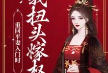 小说《重回平妻入门时，我扭头嫁权王》章节免费阅读-书格格