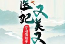 魏紫风澹渊小说叫什么（医妃又美又飒，专治傲娇王爷免费阅读）-书格格