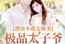 完结版《漂亮小花太娇美，极品太子爷被撩疯》章节阅读-书格格