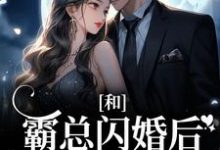 免费阅读梁瓷傅司州为主角的小说，和霸总闪婚后，娇娇被强宠了在线看-书格格