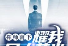 完结版《挥师南下，耀我军人荣光》章节阅读-书格格