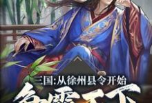 三国：从徐州县令开始争霸天下免费阅读，三国：从徐州县令开始争霸天下章节目录-书格格