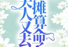 完结版《爷，夫人又去摆摊算命了》章节阅读-书格格