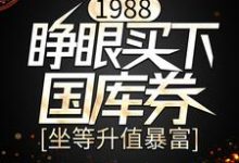 求1988：睁眼买下国库券，坐等升值暴富小说的全文免费阅读链接-书格格