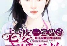 完结版《一纸婚约：老婆，离婚无效》章节目录在线阅读-书格格