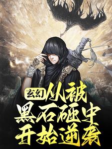 《玄幻：从被黑石砸中开始逆袭》小说大结局免费试读  苏阳李珊珊小说