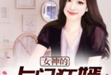 完结版《女神的上门狂婿》章节阅读-书格格