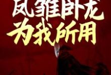 《三国：开局娶妻，凤雏卧龙为我所用》小说章节在线试读，《三国：开局娶妻，凤雏卧龙为我所用》最新章节目录-书格格