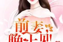 只婚不爱：前妻，晚上见！小说最新章节在哪里可以读到？-书格格