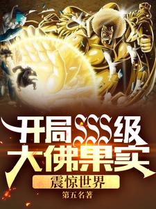 主人公陈叶小说开局SSS级大佛果实，震惊世界在线章节阅读