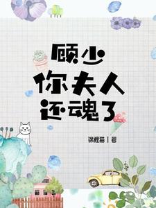 小说《顾少，你夫人还魂了》章节阅读