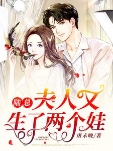 完结版《陆总，夫人又生了两个娃》章节阅读