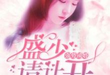 完结版《强势锁婚：盛少，请让开》免费阅读-书格格