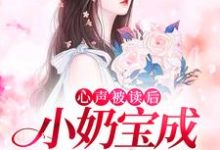 《心声被读后，小奶宝成全家宠儿》小说主角苏沐沐其他章节章节免费在线阅读-书格格