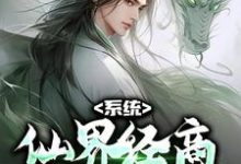 《系统：仙界经商，我成无上古神》小说章节在线试读，《系统：仙界经商，我成无上古神》最新章节目录-书格格