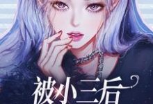 完结版《被小三后，我独自美丽了！》章节目录在线阅读-书格格