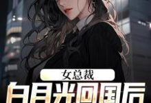 《女总裁白月光回国后，我选择离》全集免费在线阅读（叶修林若微）-书格格