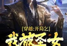 完结版《穿越：开局乞丐，我被圣女表白了》免费阅读-书格格