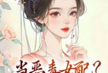 当恶毒女配？不，我直接发颠小说全文哪里可以免费看？-书格格