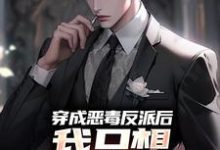 完结版《穿成恶毒反派后，我只想离婚保平安》章节阅读-书格格