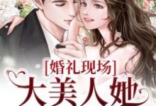 小说《婚礼现场，大美人她喜提绿帽》章节免费阅读-书格格