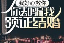 完结版《我好心救你，你却骗我领证结婚？》章节阅读-书格格