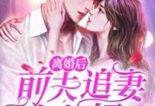 完结版《离婚后，前夫追妻火葬场》章节阅读-书格格