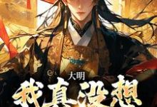 完结版《大明：我真没想当皇帝！》免费阅读-书格格