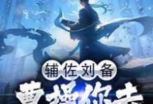 完结版《辅佐刘备，曹操你去摸鱼吧》免费阅读-书格格