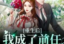 《重生后我成了前任的小婶婶》全集免费在线阅读（ 苏宁安陆时晏）-书格格