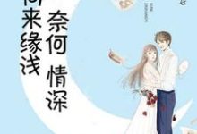 完结版《向来缘浅，奈何情深》在线免费阅读-书格格