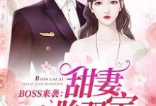 完结版《BOSS来袭：甜妻一胎双宝》章节阅读-书格格