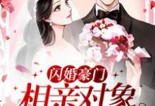 《闪婚豪门：相亲对象是大佬》全集免费在线阅读（许南音陆南骁）-书格格