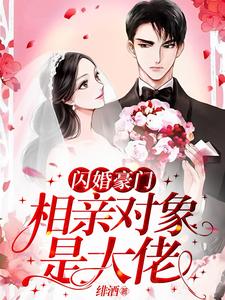 《闪婚豪门：相亲对象是大佬》全集免费在线阅读（许南音陆南骁）