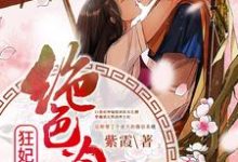 完结版《惊世狂妃：绝色冷王请下榻！》章节阅读-书格格