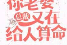 完结版《总裁，你老婆又在给人算命》章节阅读-书格格