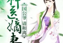 《神医嫡妻：国公爷，请和离》全集免费在线阅读（顾洛音萧启）-书格格