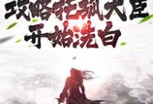 女尊：从攻略托孤大臣开始洗白（林青衫）在线免费阅读-书格格