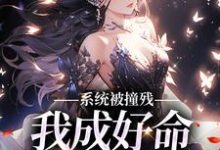 完结版《系统被撞残，我成好命小女娘》免费阅读-书格格