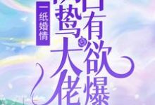 完结版《一纸婚情：阴鸷大佬占有欲爆表》章节阅读-书格格