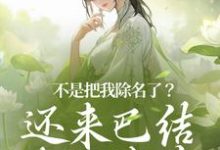 已完结小说《不是把我除名了？还来巴结本妃作甚》章节免费阅读-书格格