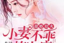 已完结小说《甜婚似火：小妻不乖，撩上瘾》在线章节阅读-书格格